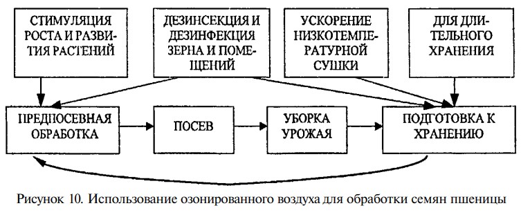 обработка семян озонированным воздухом